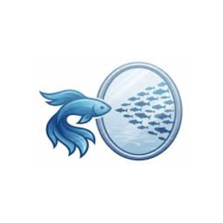 MiroFish