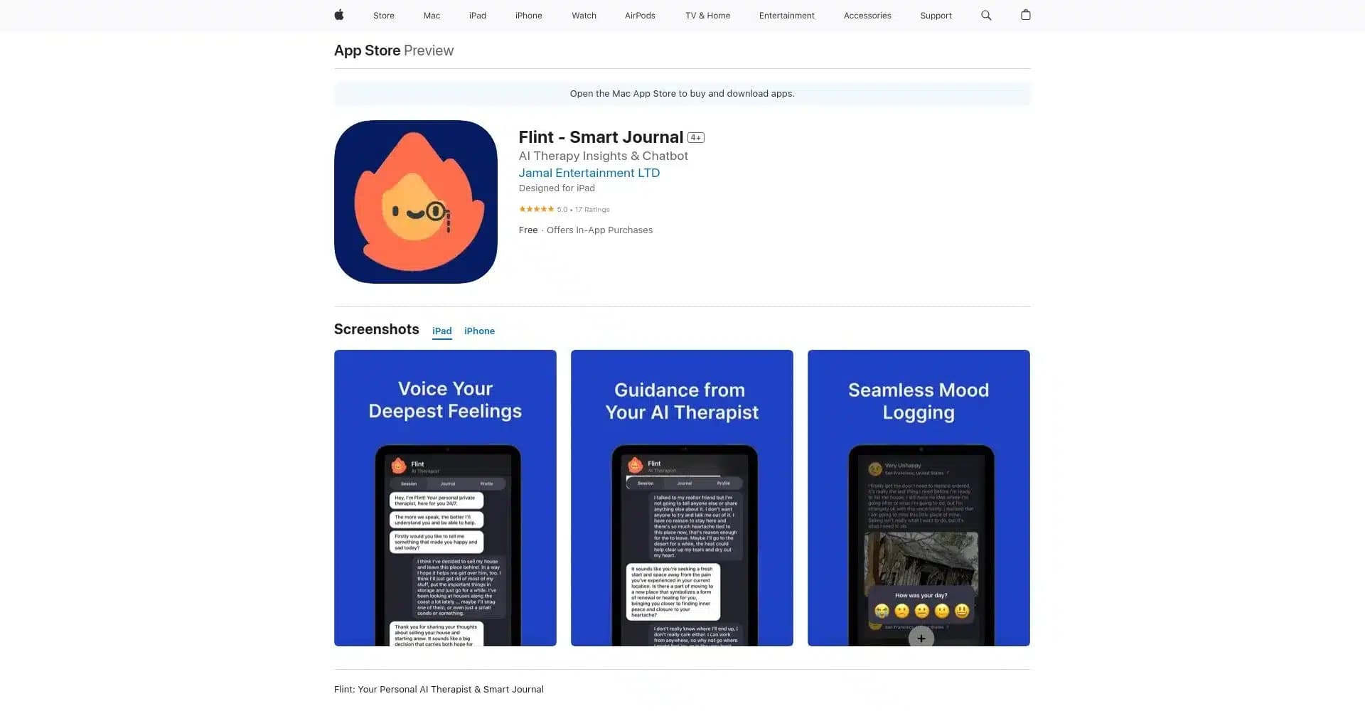 Flint Smart Journal